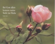 das zu meldende Bild